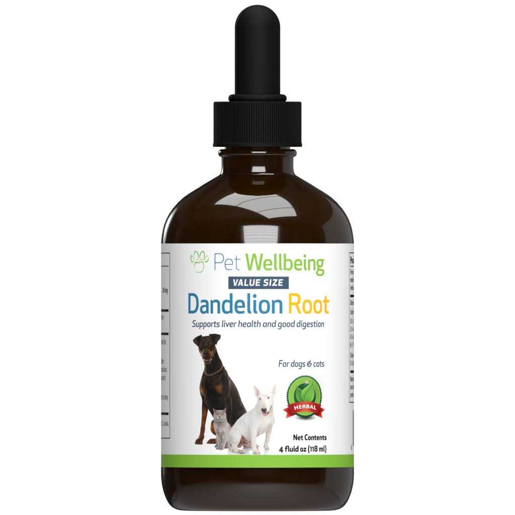 Dandelion Root Cat Liver and Digestive Support U80496