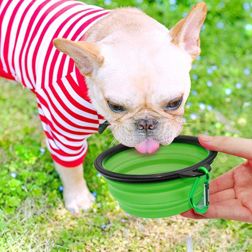 Collapsible Dog Bowl 2 Pack W28358