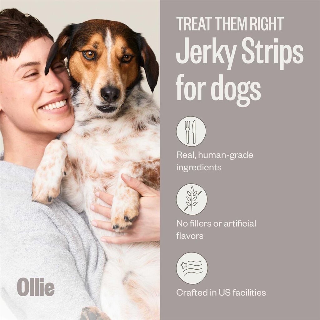 Beef and Sweet Potato Dog Jerky Treats I4814
