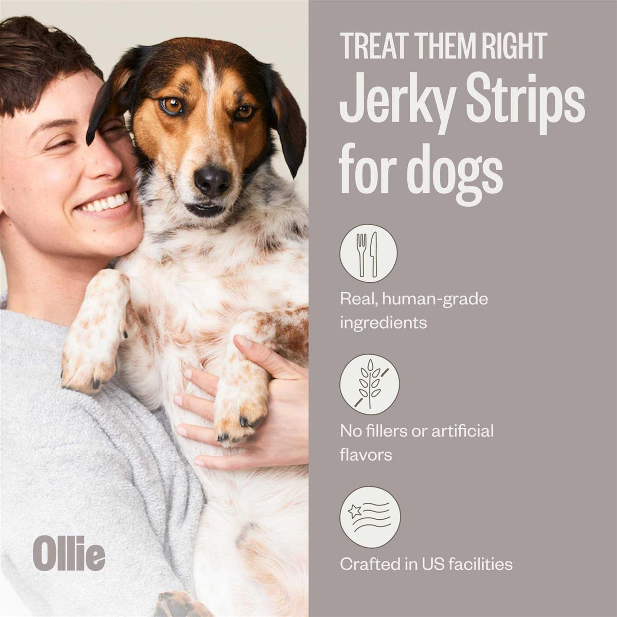 Beef and Sweet Potato Dog Jerky Treats I4814