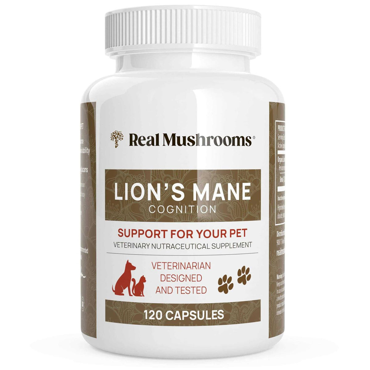 Lion’s Mane Q398301