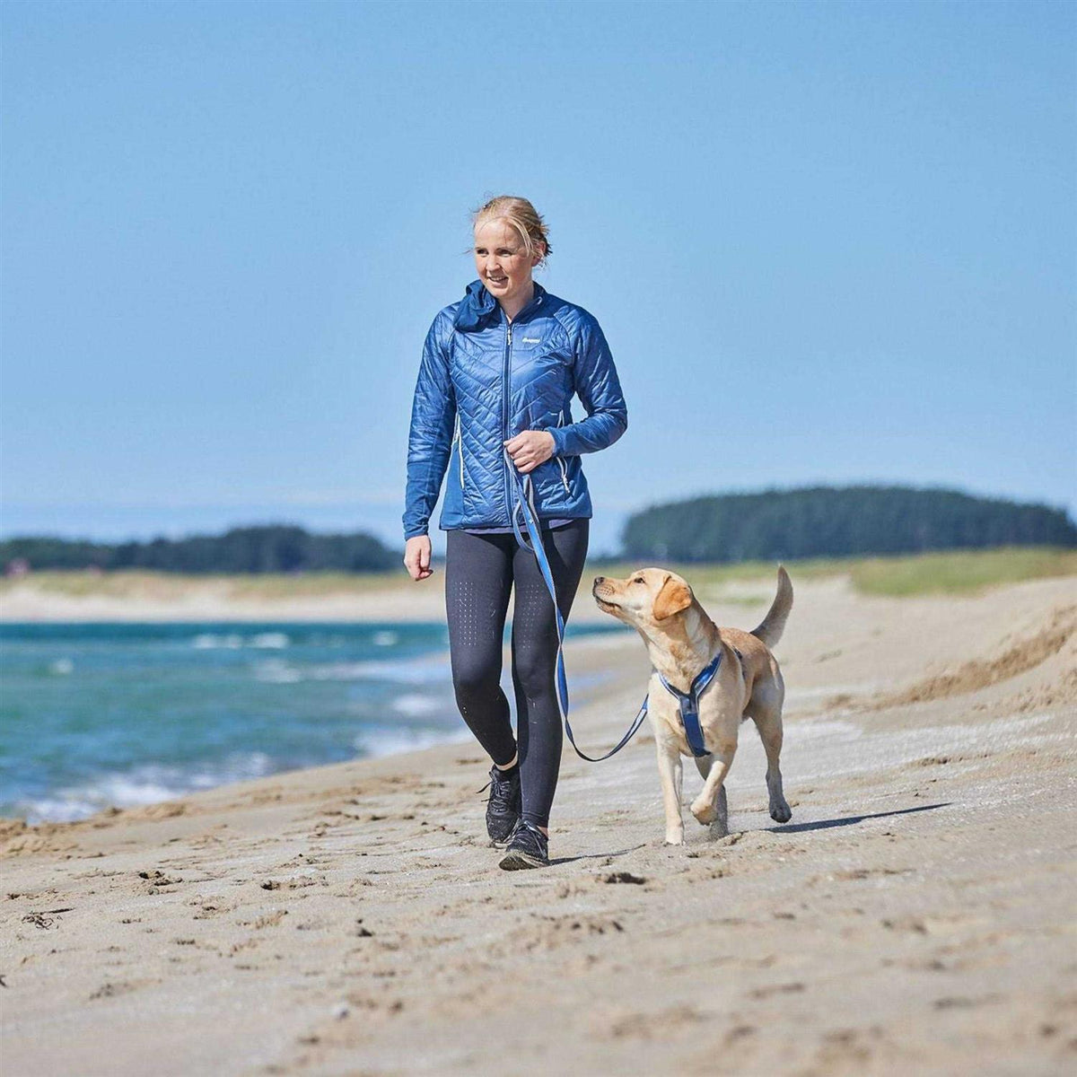 Dog Harness Q3070