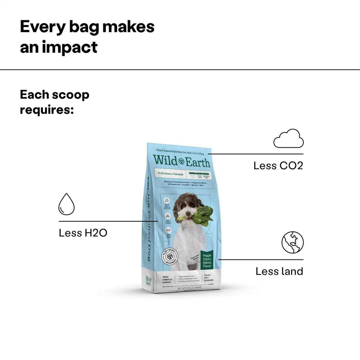 Dry Dog Food E13265