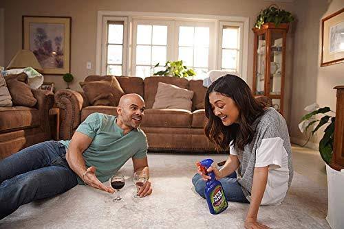 Instant Carpet Stain & Odor Eliminator 22 oz (Pack of 6) T638046