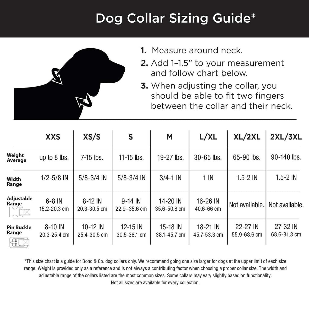 Purple Ombre Wipeable Dog Collar I66108