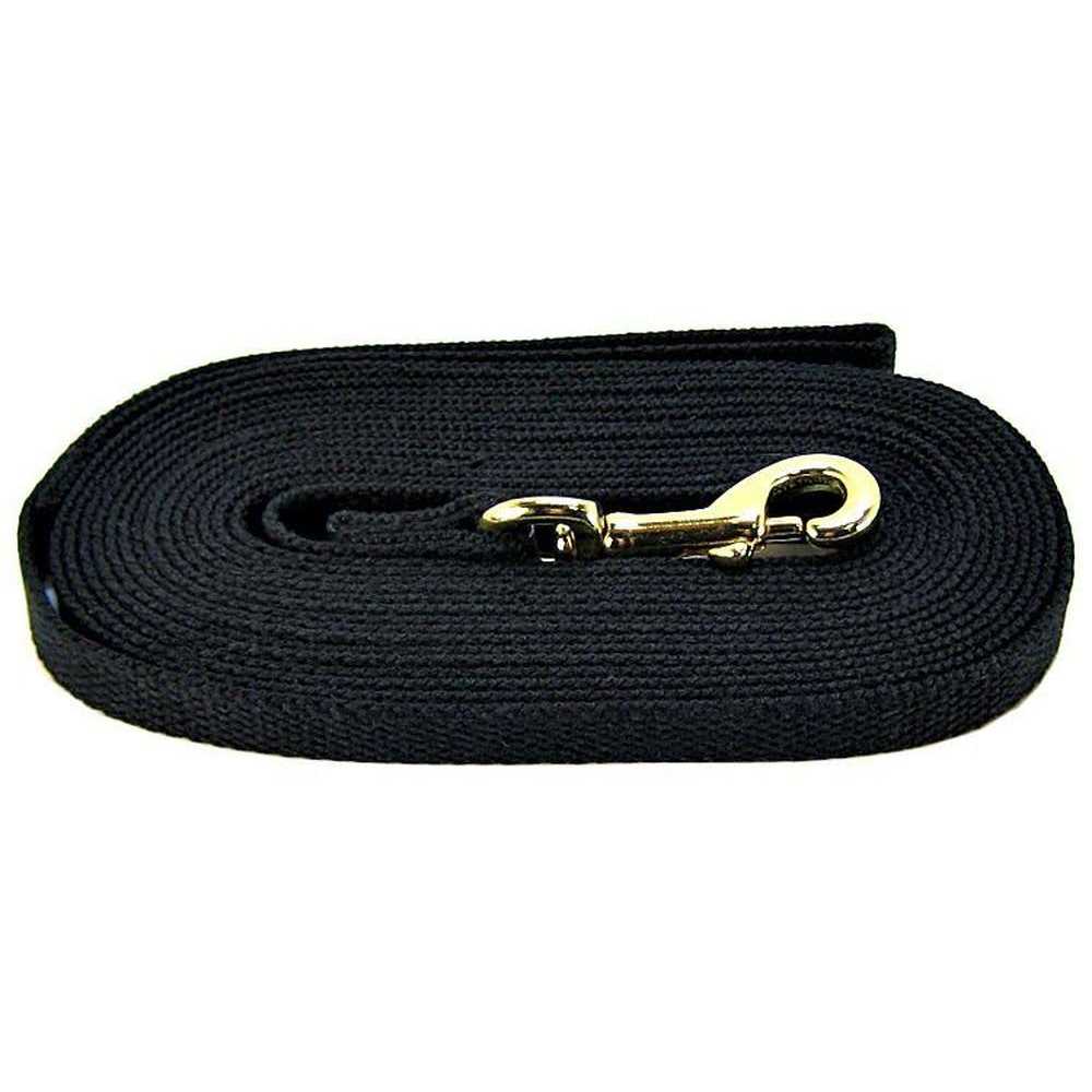 Cotton Web Dog Training Lead N53400
