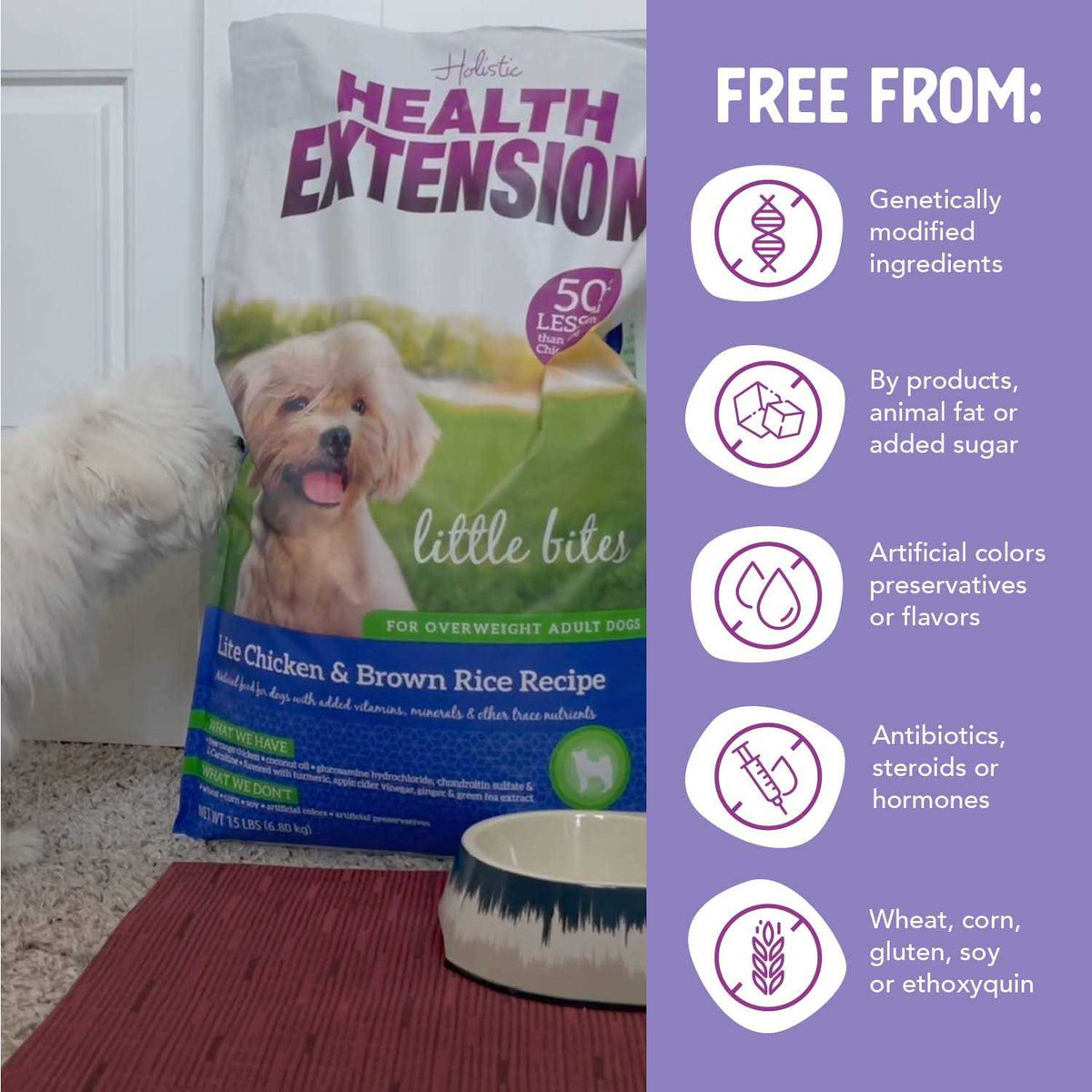 Dry Dog Food Y621250