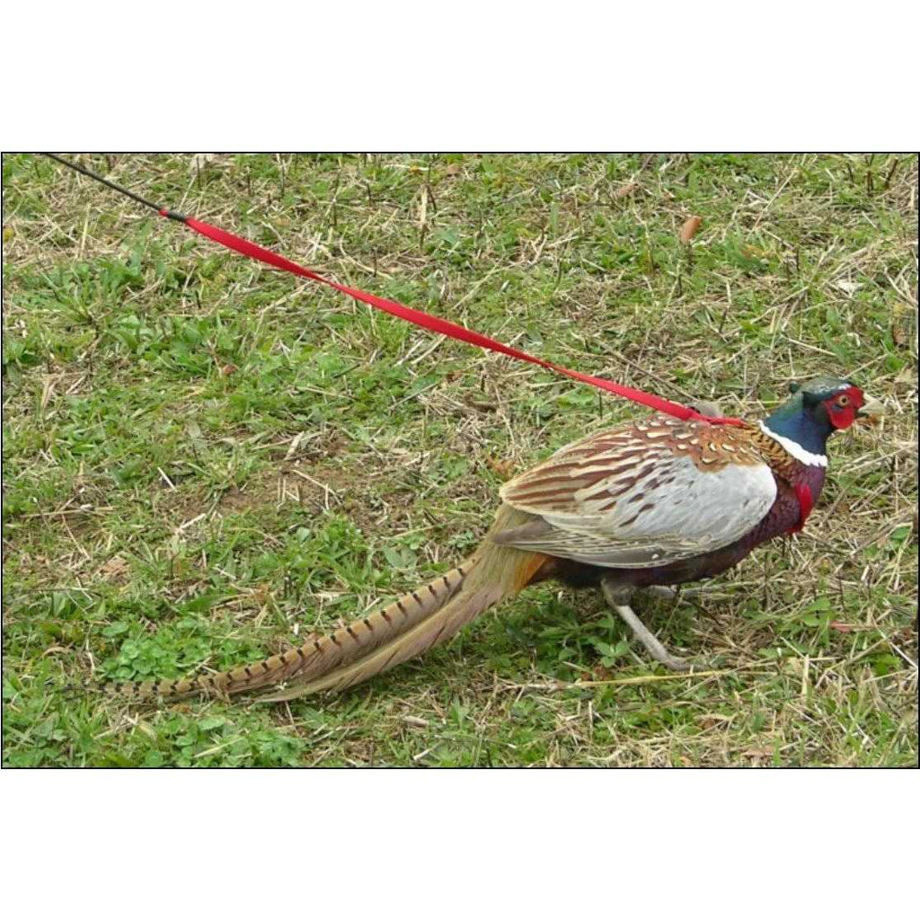 Bird Harness and Leash Z8353