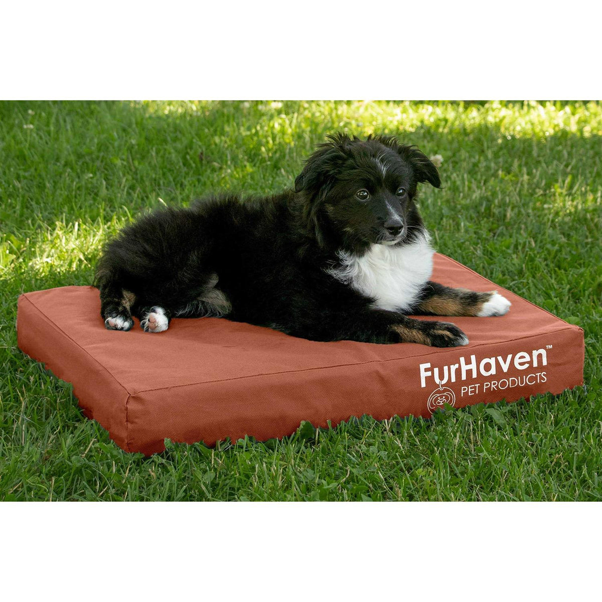 Dog Bed F785