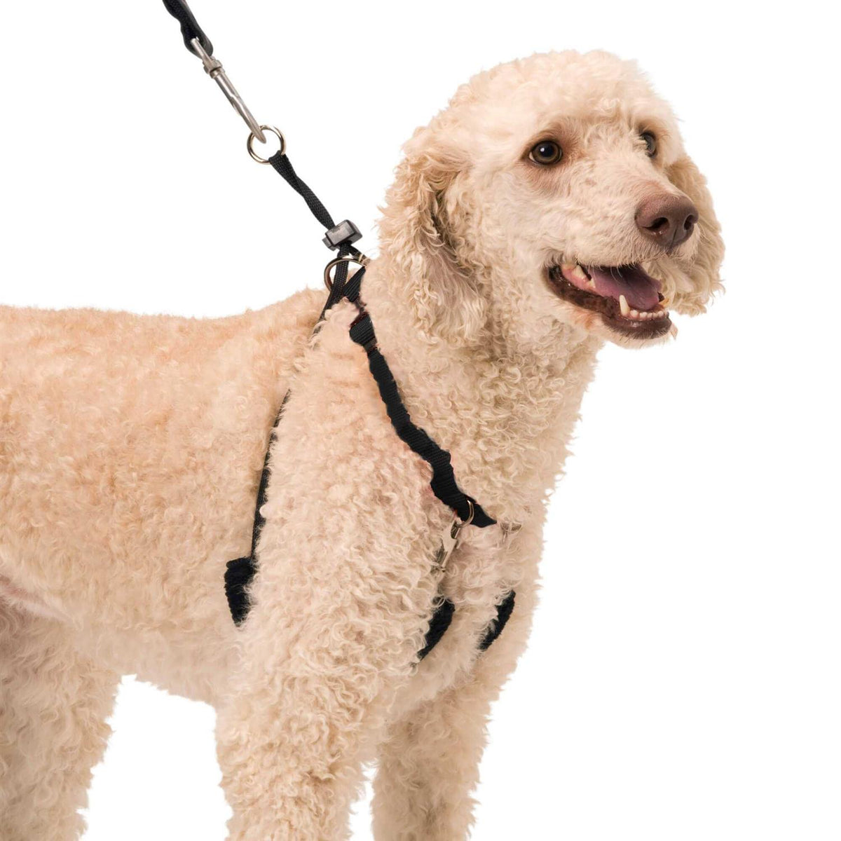 Halter T68459