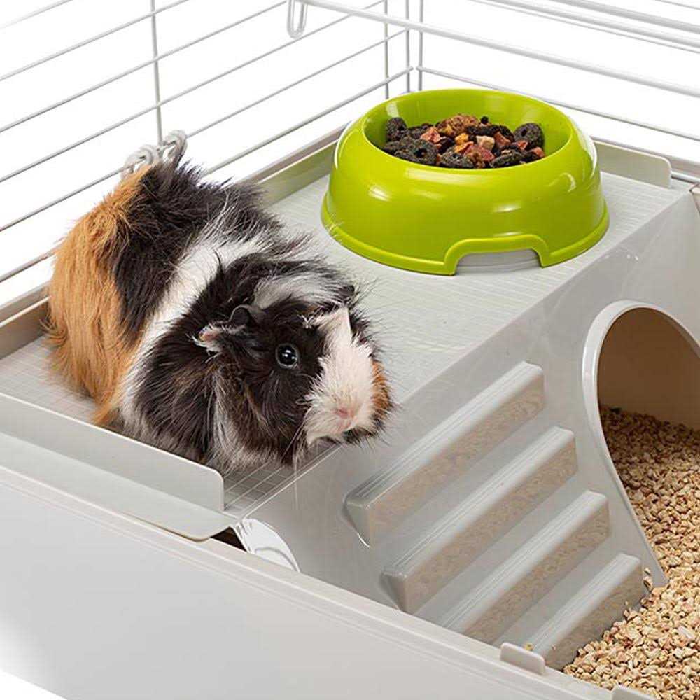 Guinea Pig Cage Q6804