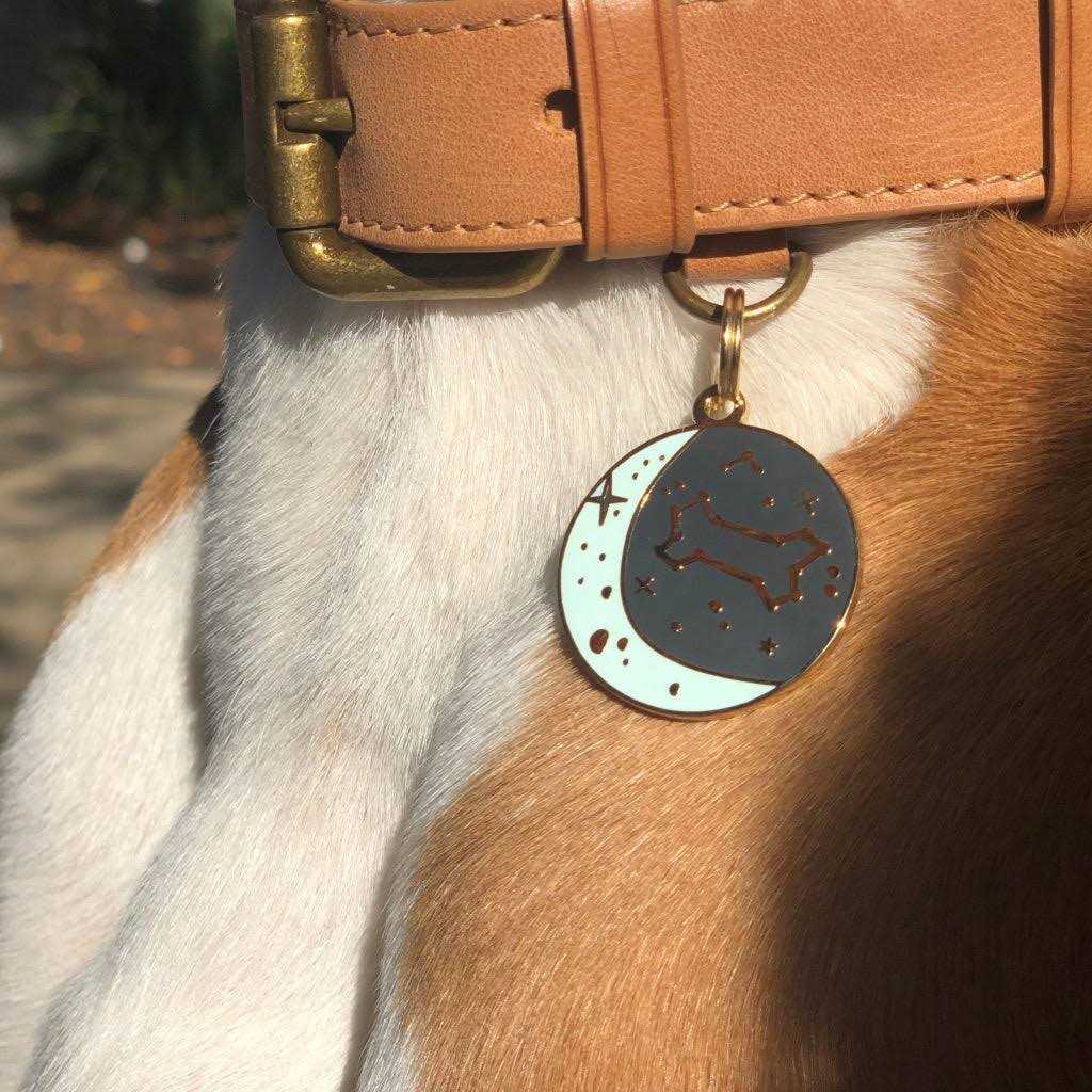 Zodiac Pet ID Tag V5424