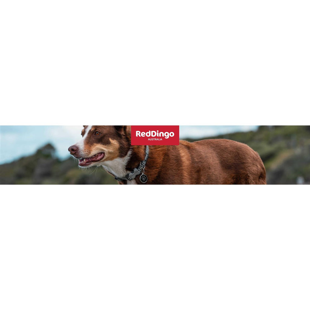 Dog Collar H734809