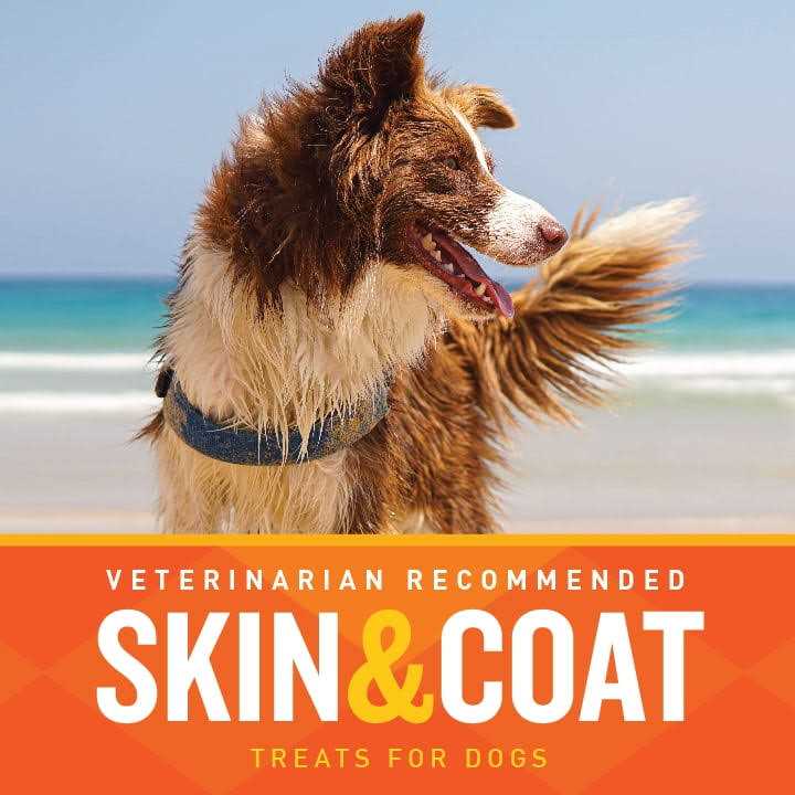 Skin & Coat Soft Chews Q38473