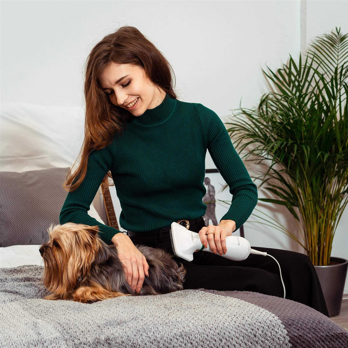 Pet Hair Dryer with Slicker Brush O556639
