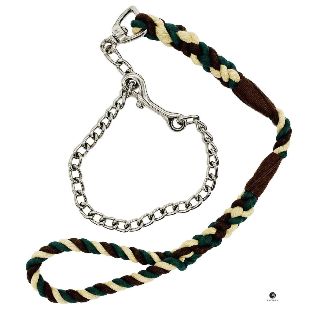 Dog Leash with Chain W599463
