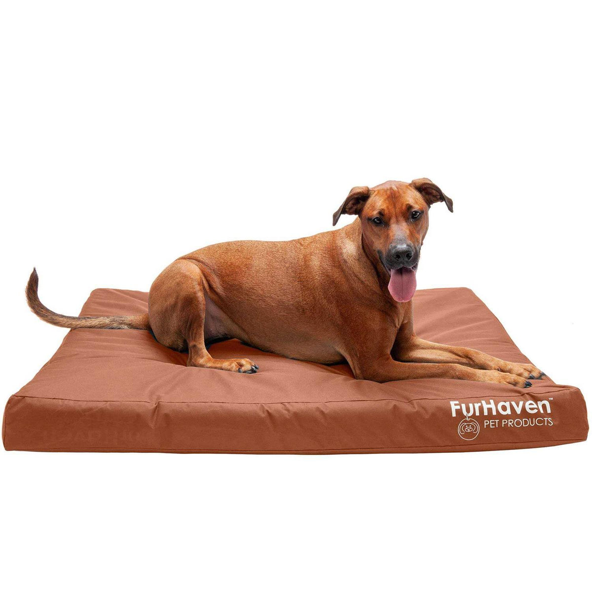 Dog Bed F785