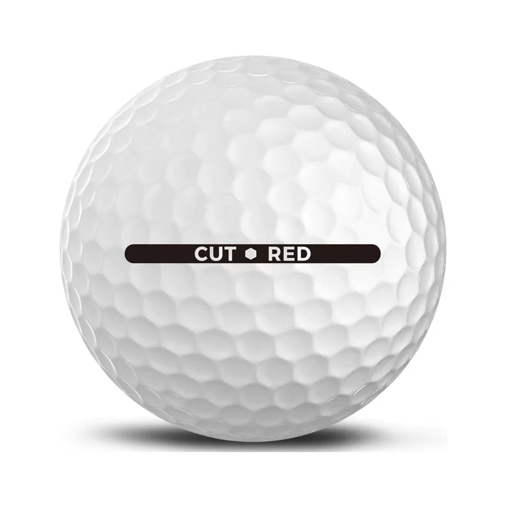 White 2 Piece Ionomer Golf Balls 24 Pack S937217