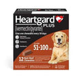 Chewables for Dogs Y24949