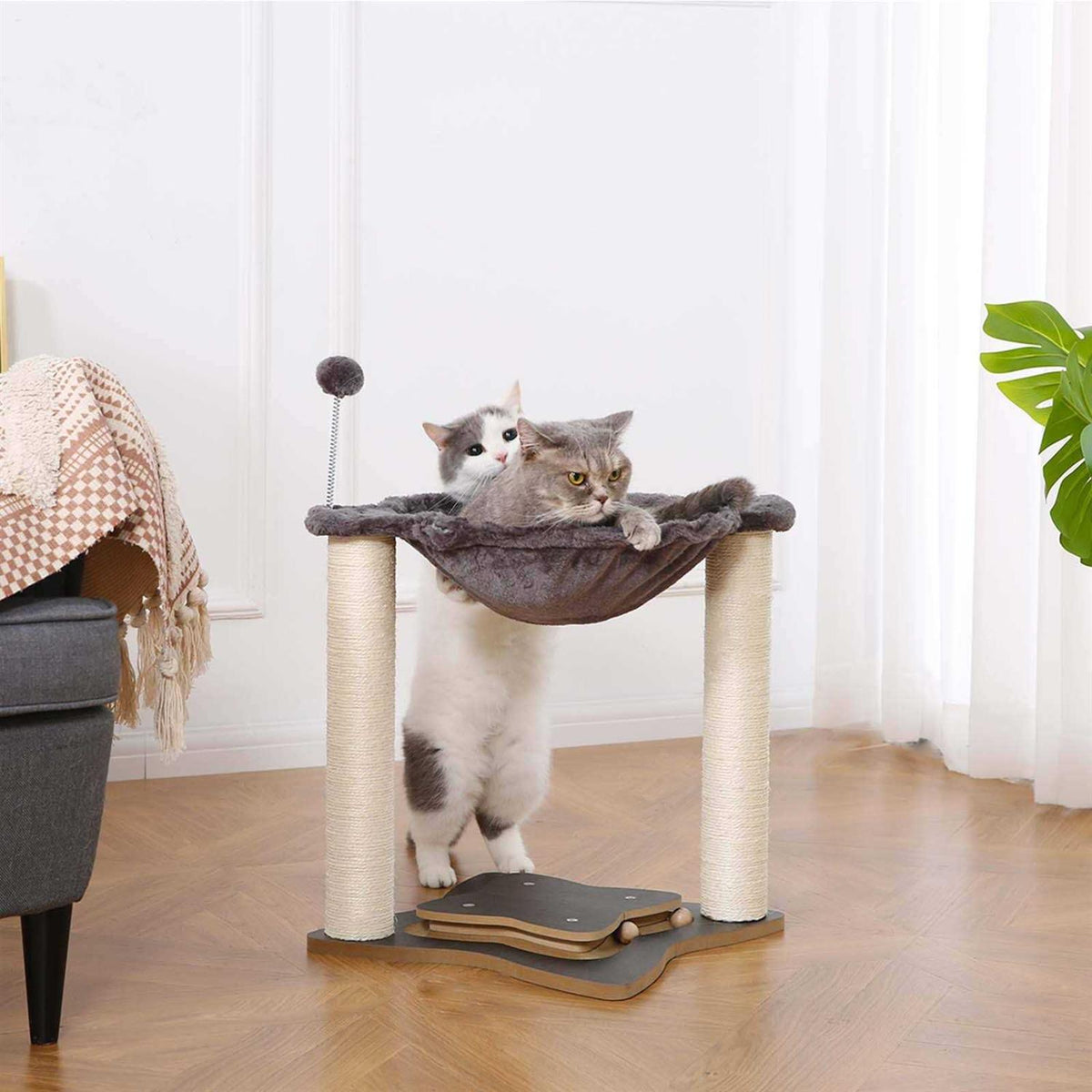 3 in 1 Cat Scratching Post with Hammock Q47007