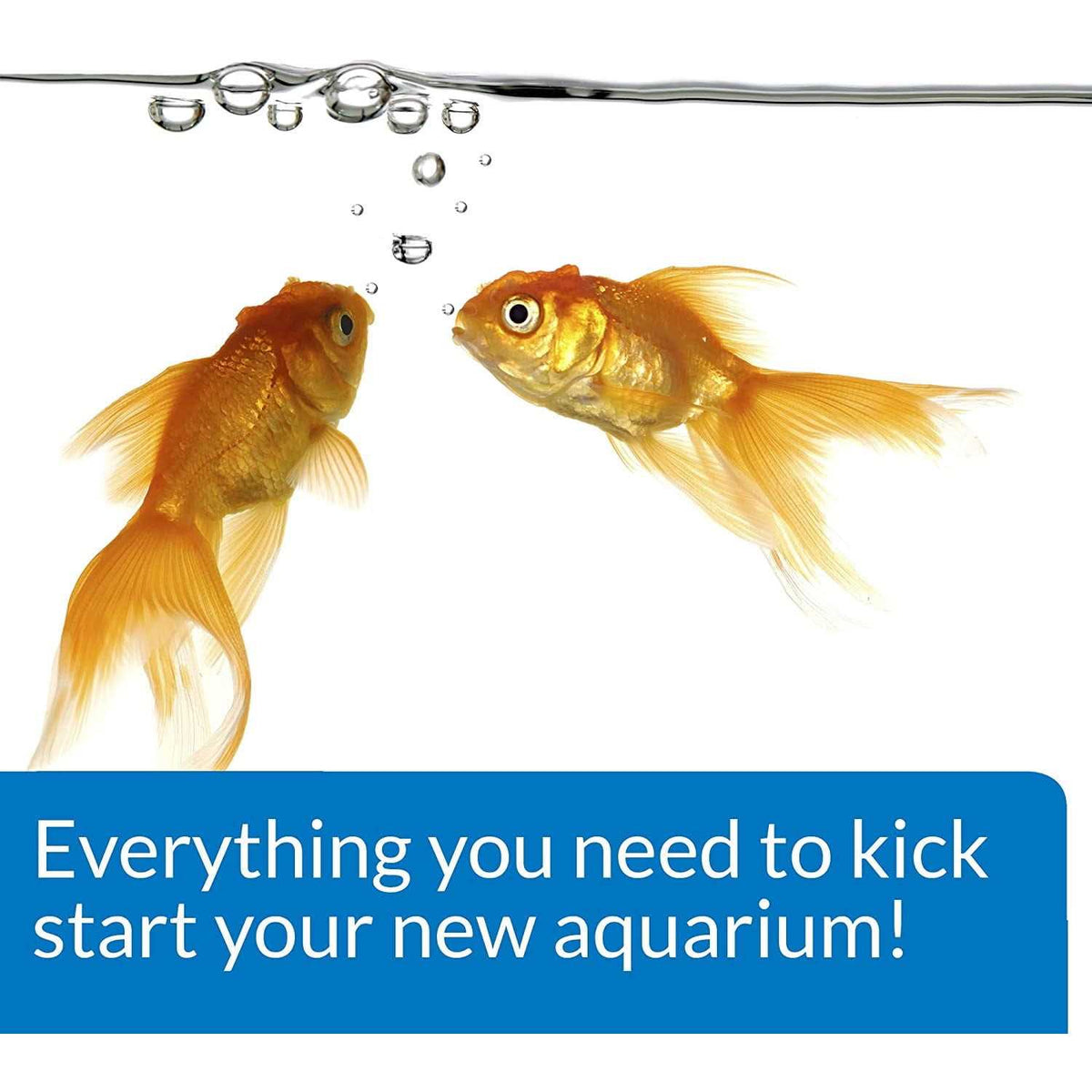 Aquarium Start Up Pack X181947