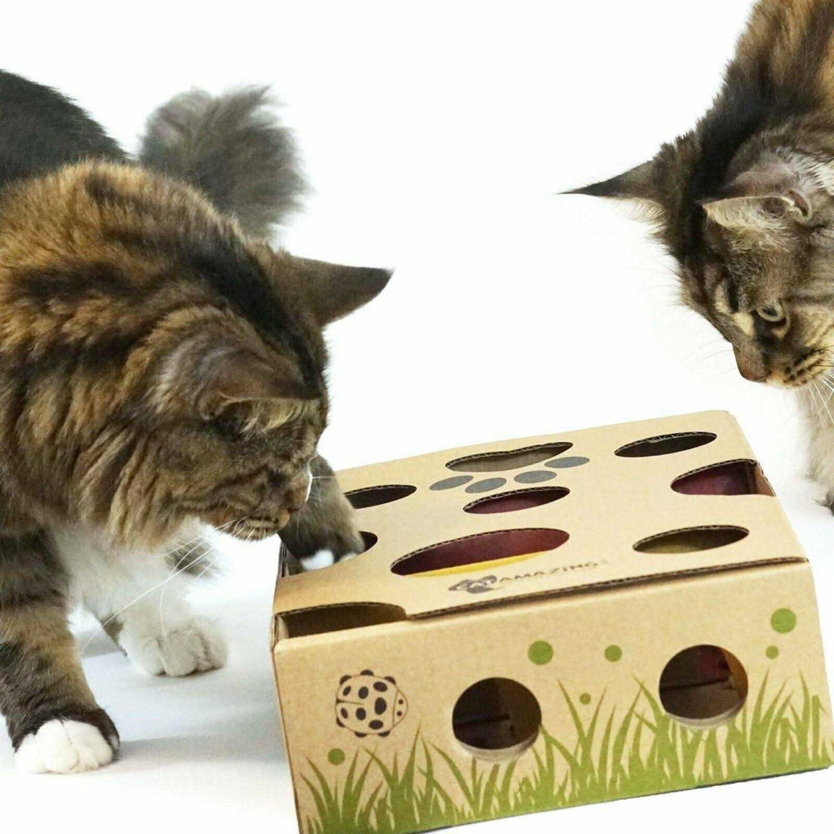 Interactive Cat Treat Maze Puzzle Feeder F93176