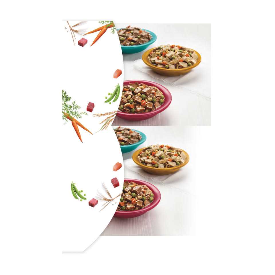 Wet Dog Food Variety Pack Y3493