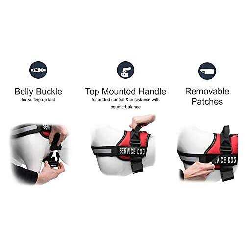 Service Dog Vest with Hook and Loop Straps and Detachable Backpacks M1301
