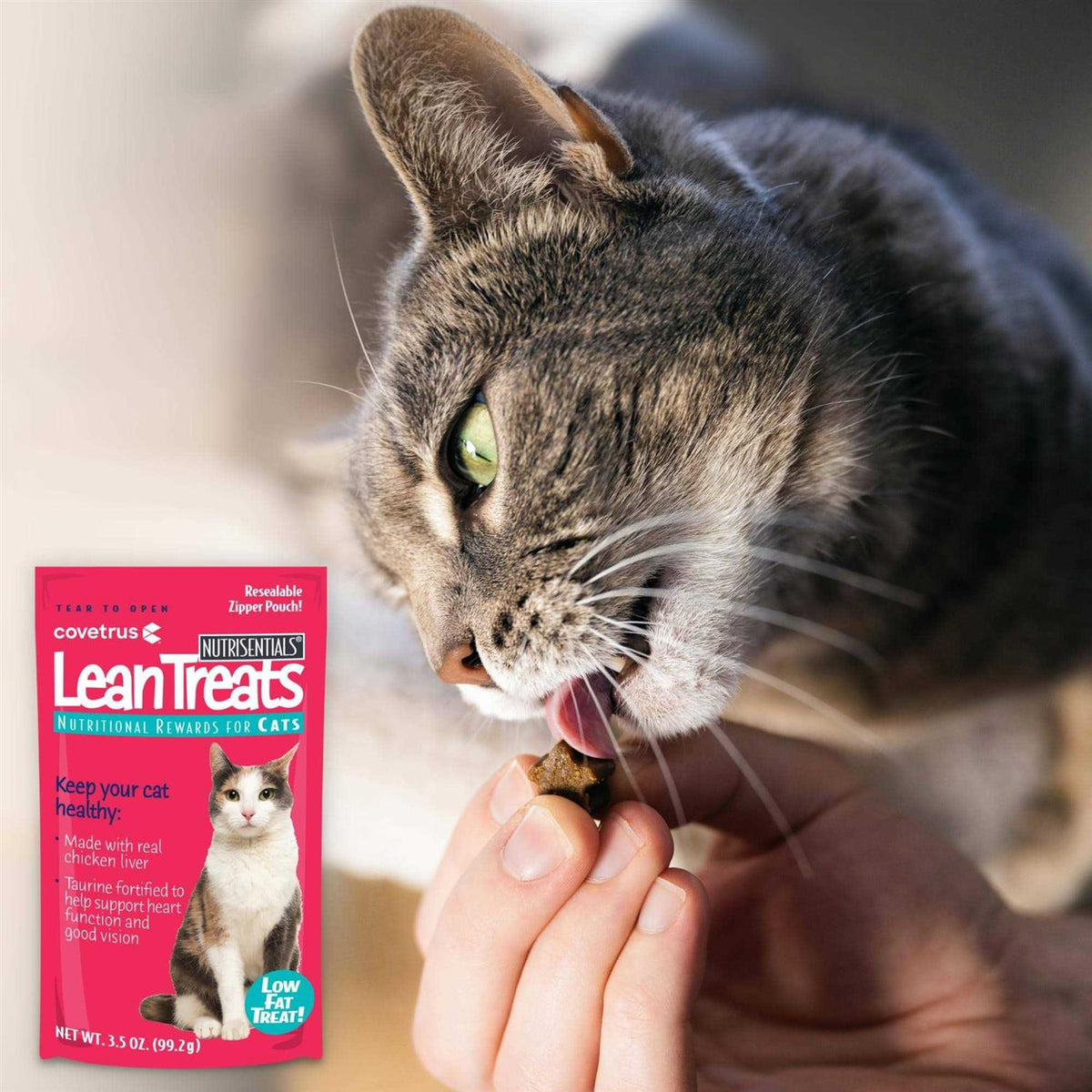 Lean Soft Cat Treats K9412