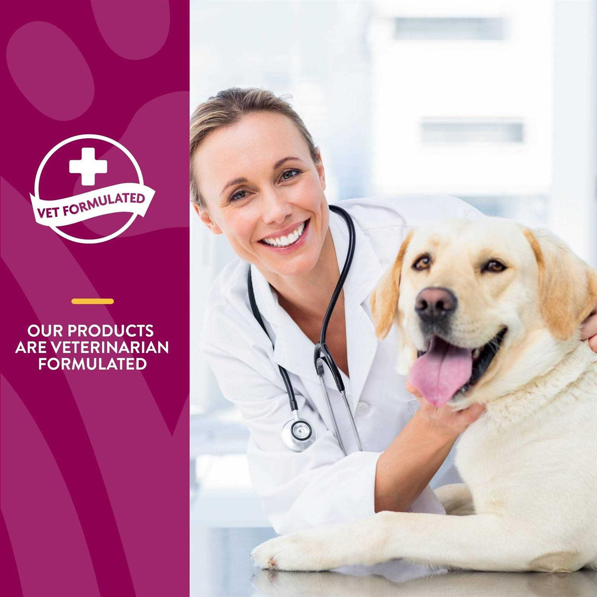Joint Health Soft Chews for Dogs S90709