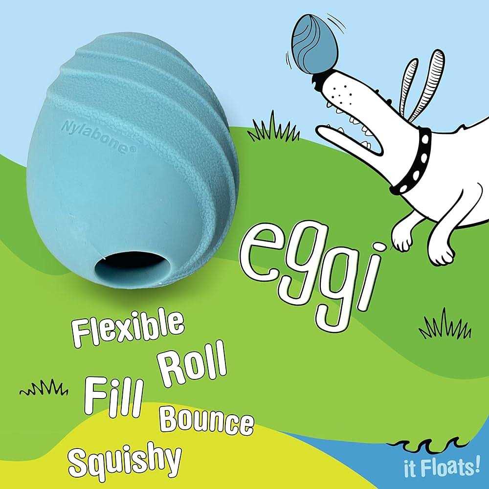 Dog Toy V77043