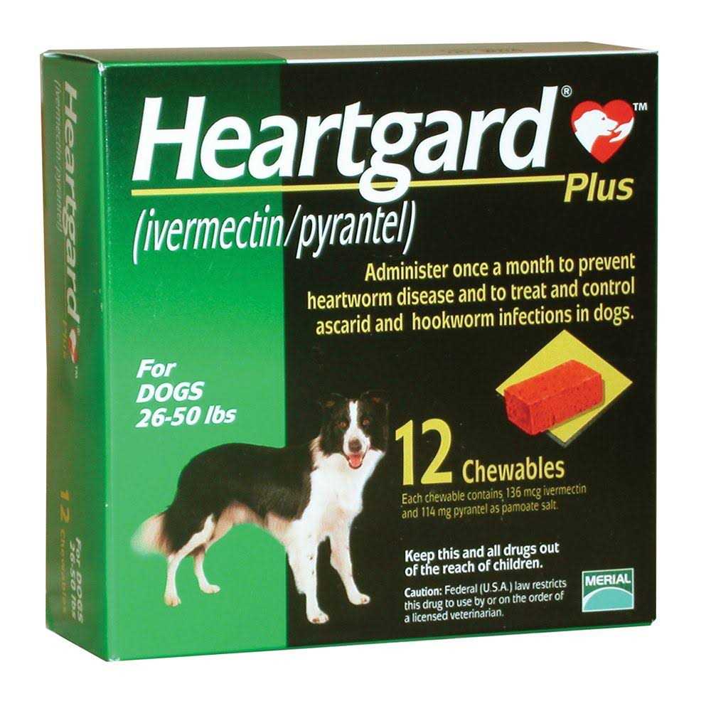 Chewables for Dogs Y24949