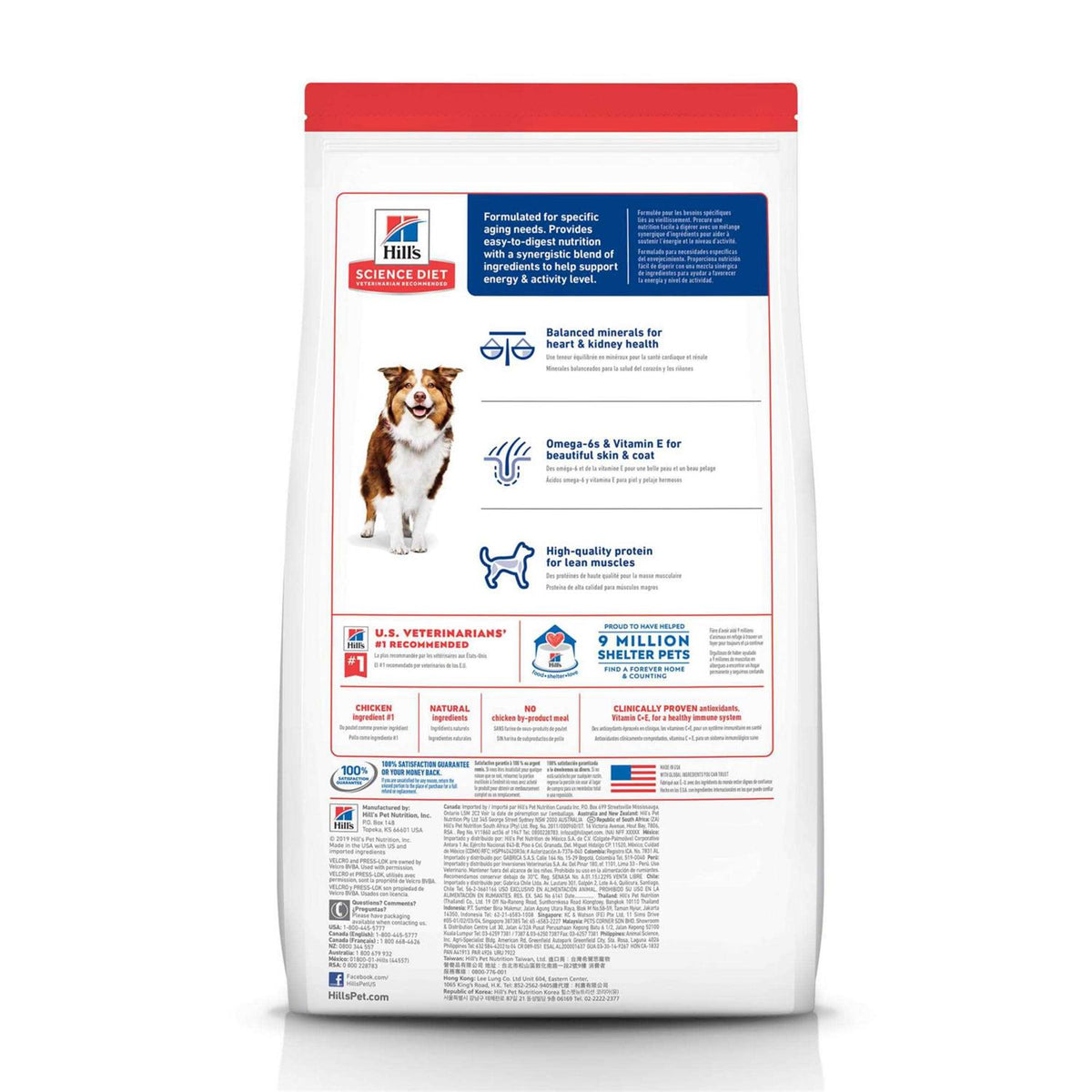 Dry Dog Food I945856
