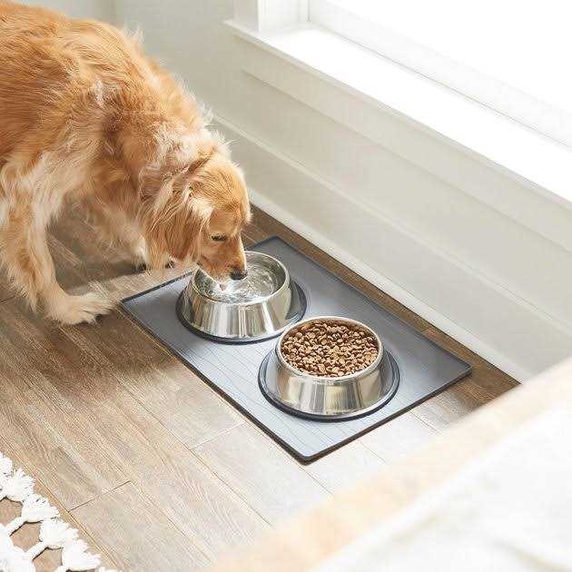 Silicone Dog & Cat Food Mat B50292