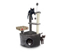 Gray Cat Playground V544794