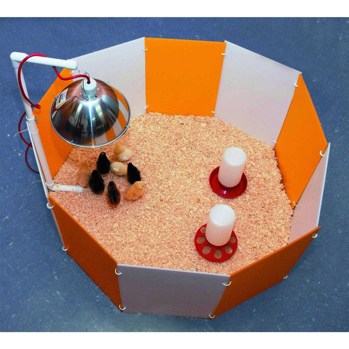 Baby Chick Starter Home D28860
