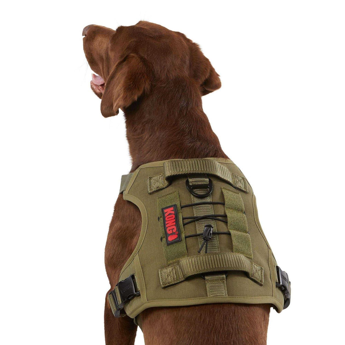 Double Handle Dog Harness Y272