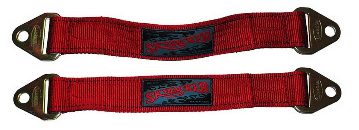 Limiting Straps N173