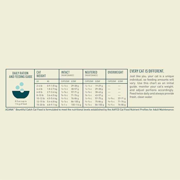 Dry Cat Food D3033