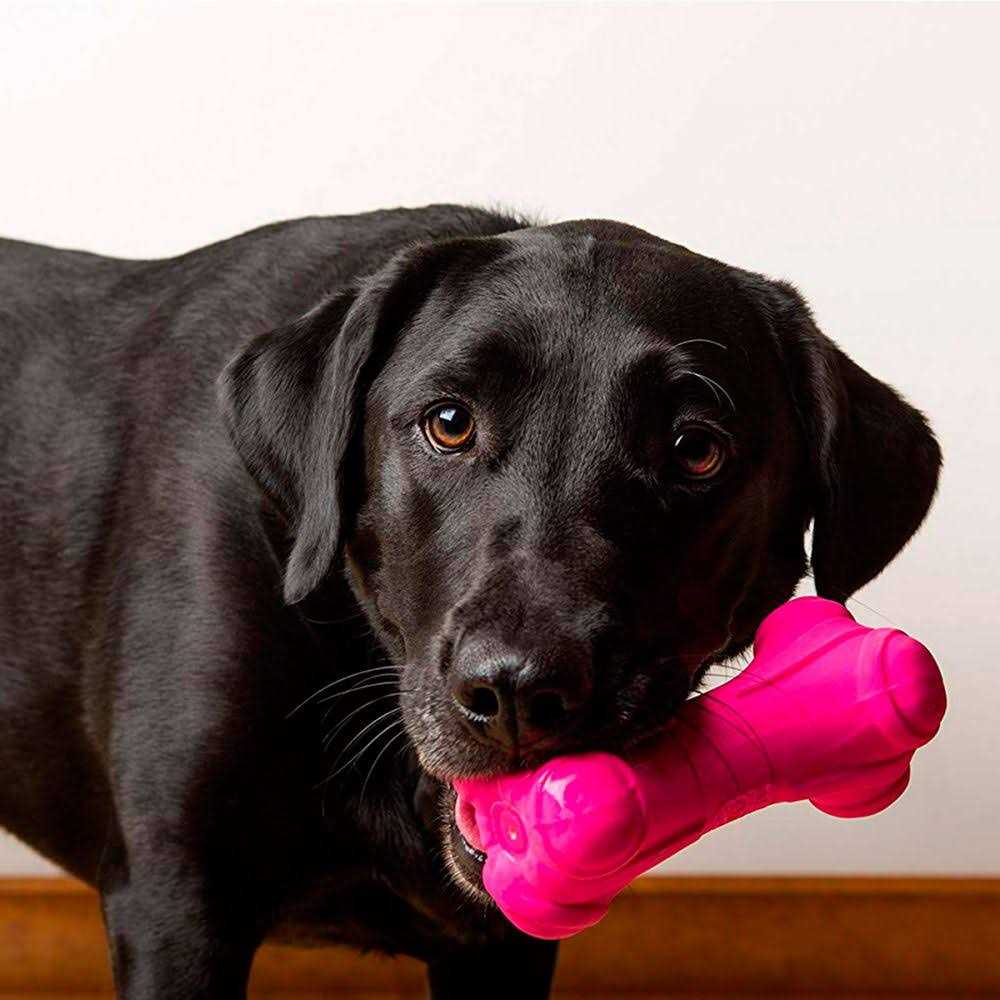 Dura Play Bone Dog Toy Y9101