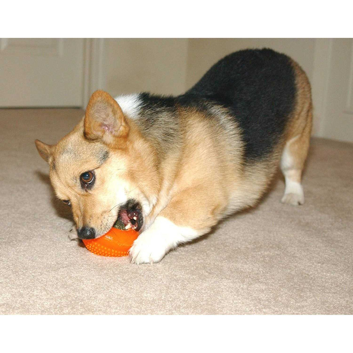 Bento Ball D800533