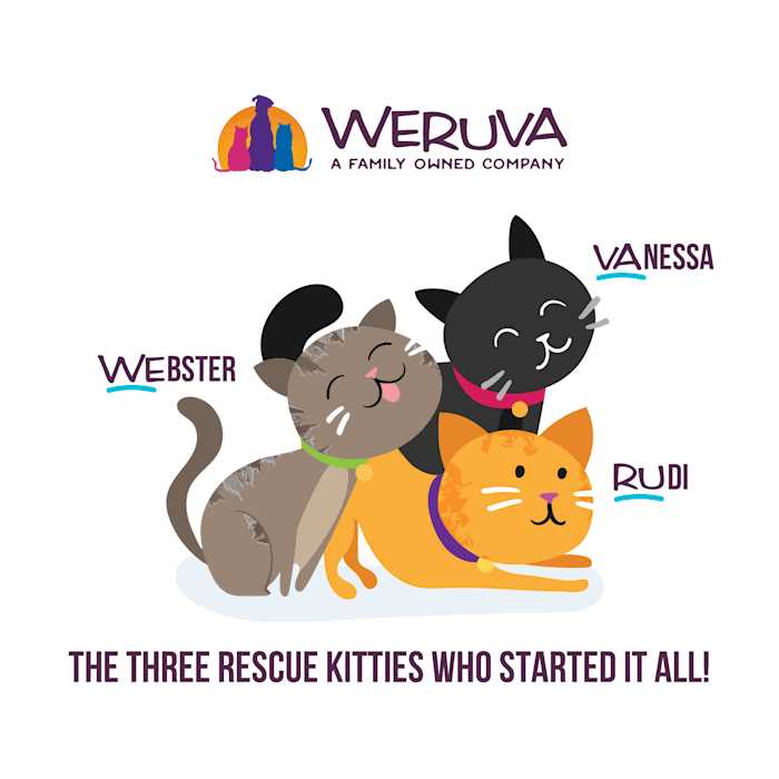 Wet Cat Food Variety Pack P433