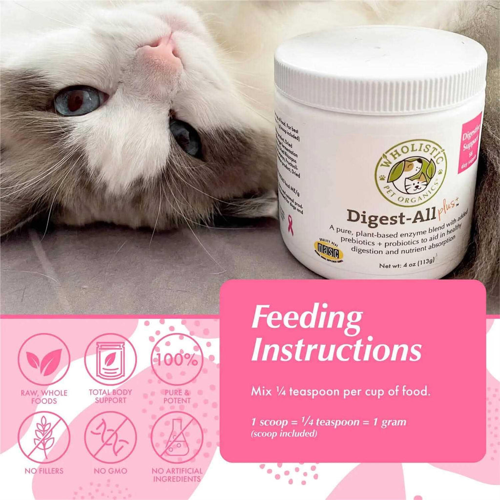 Digest All Plus Q43601