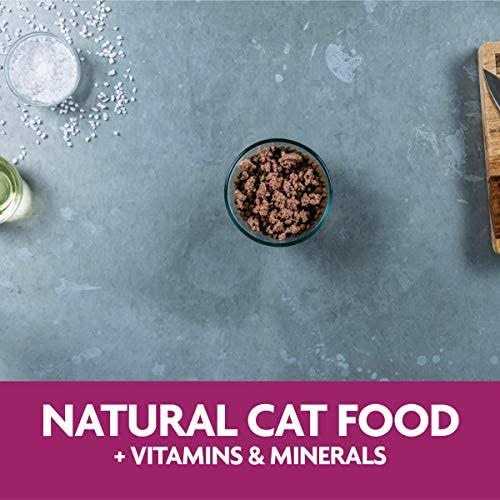 Liver Recipe Wet Cat Food T336812