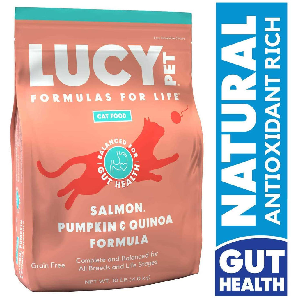 Dry Cat Food Salmon H4199