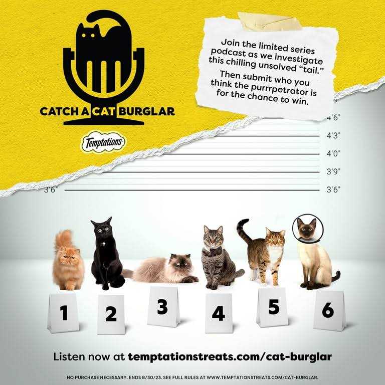 Cat Treats Shrimp Flavor G40499