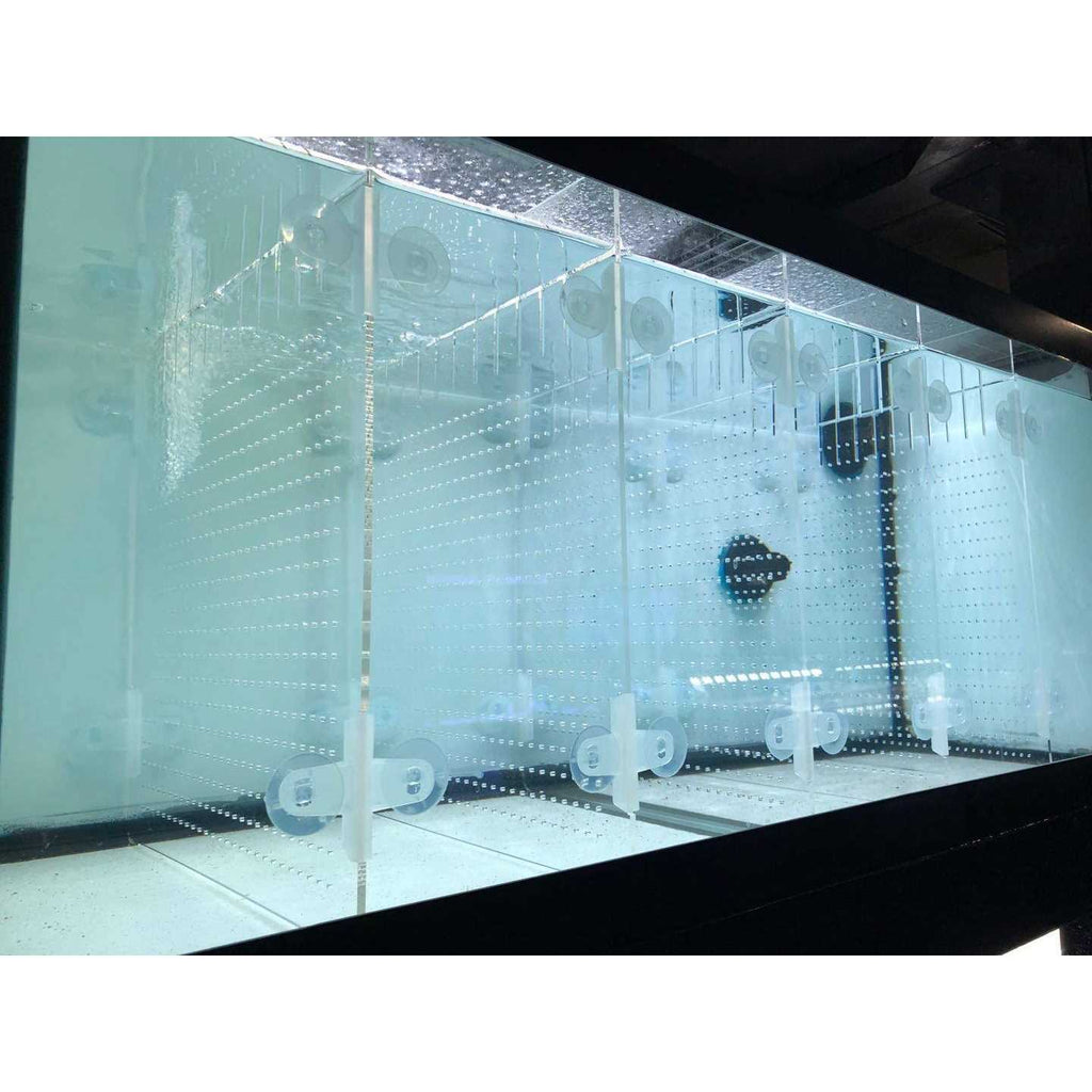 Acrylic Aquarium Divider Kit with Suction Cups U9858