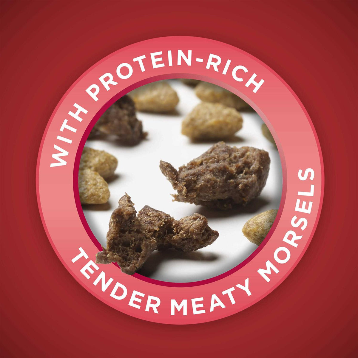 Beef & Rice Dry Dog Food Y6218