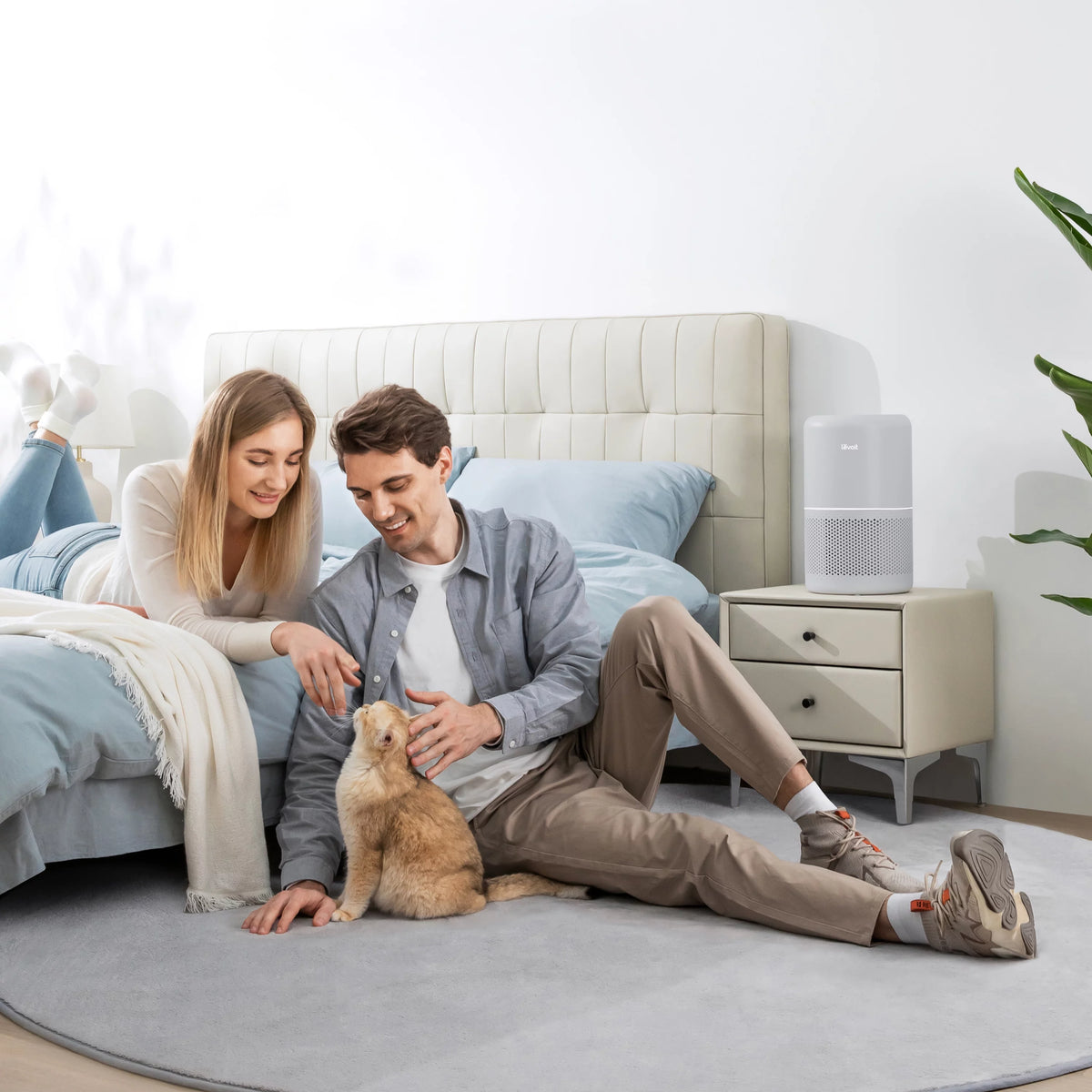 Air Purifier B276115