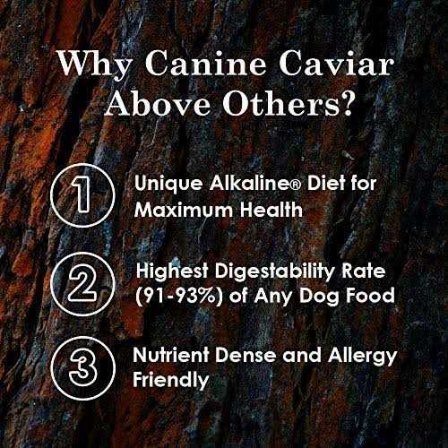 Grain-Free Dry Dog Food C7798